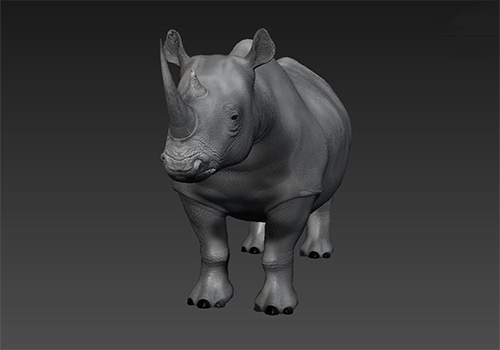 F1 Rhino